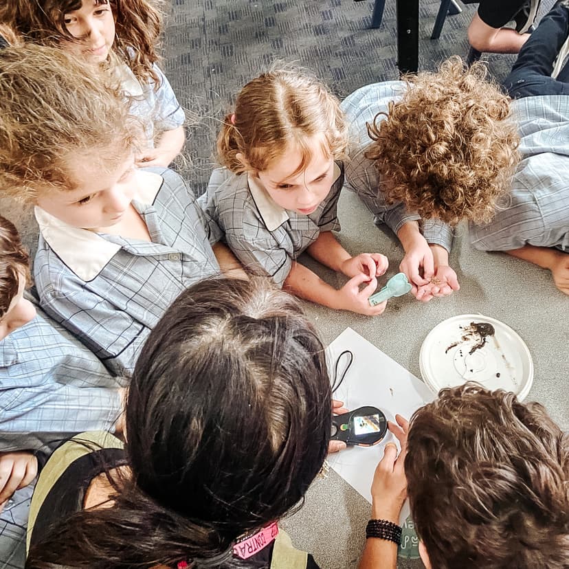 Children examining soil samples under microscope