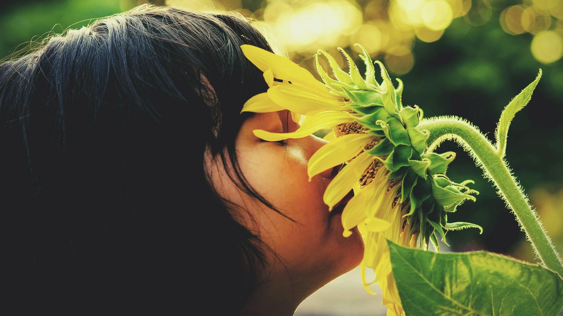 A child smelling a sunflower