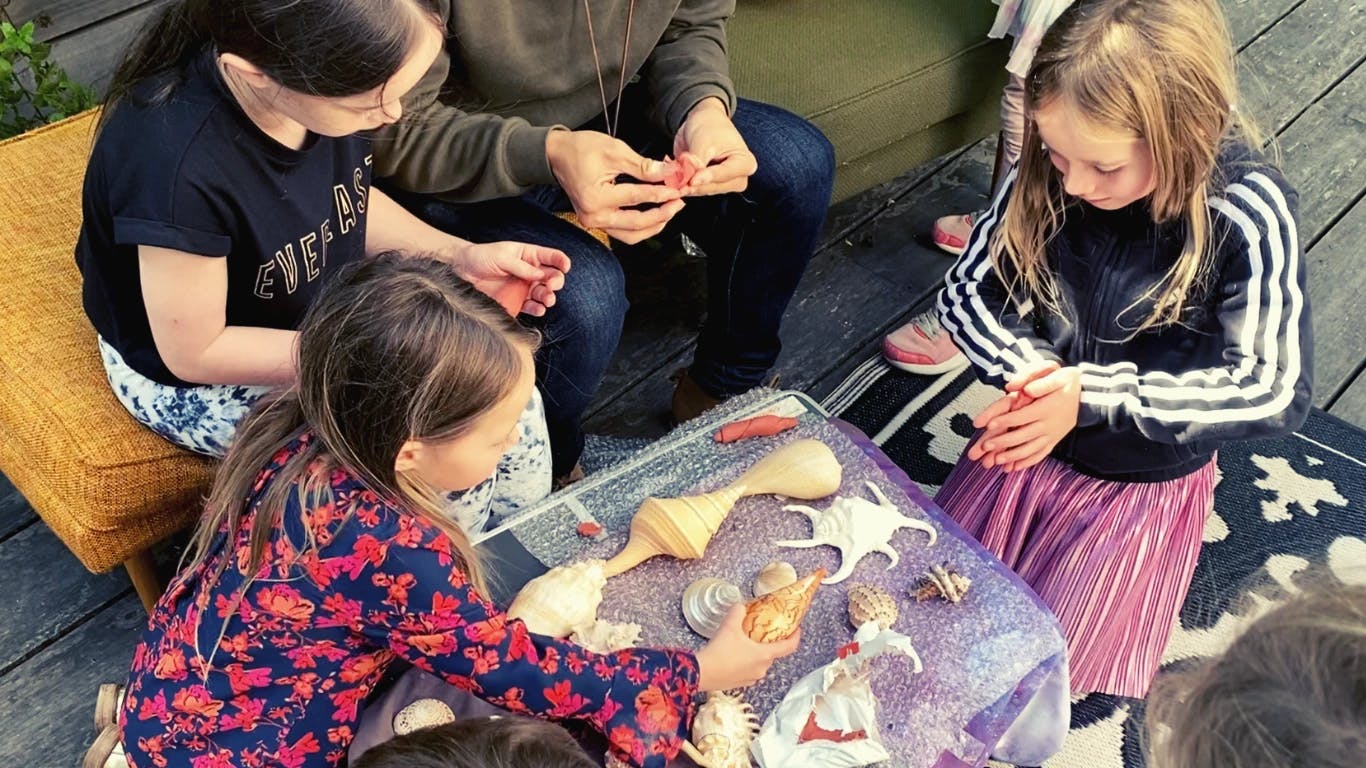 Kids looking at a variety of shells on a table